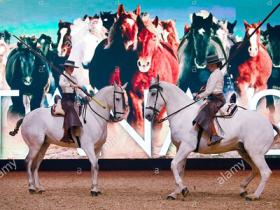 德国埃森世界马术运动展览会Equestrian Sports World微信群2022