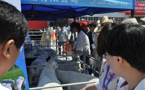 中国畜牧展览会_CAHE