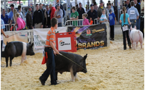 美国爱荷华洲猪类畜牧展览会World Pork